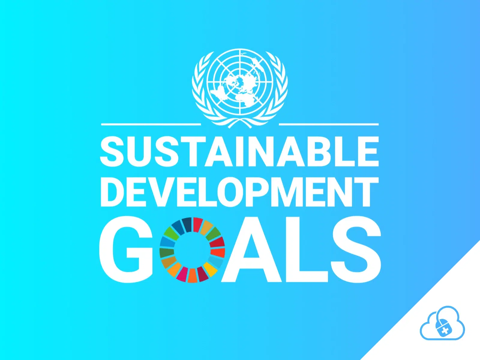 Sustainable Development Goals Wellola
